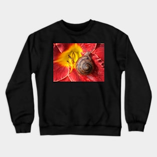 Snail On Hibiscus Flower Crewneck Sweatshirt